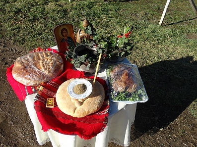 Трифон Зарезан в Криводол - 14.02.2016 г.