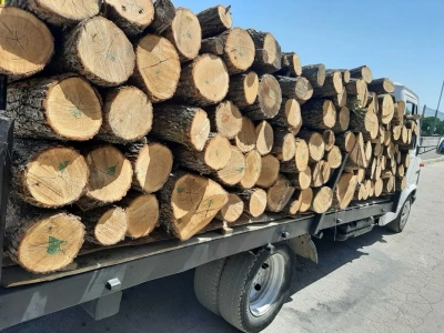 ОБЩИНА КРИВОДОЛ ОБЯВЯВА ТЪРГ ЗА ДОСТАВКА  НА ДЪРВЕСИНА ЗА ОТОПЛИТЕЛЕН СЕЗОН 2025г. – 2026г.